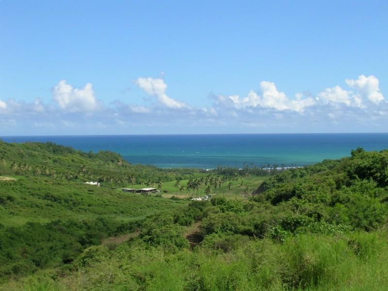 Fotky: Barbados (foto, obrazky)