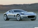 Fotky: Ford Shelby GR1 (foto, obrazky)