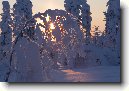 Pieksamaen Maalaiskunta - Pieksmen Maalaiskunta