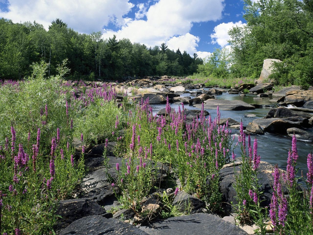 Foto: Ice Age National Scenic Trail, Chequamegon National Forest, Wisconsin