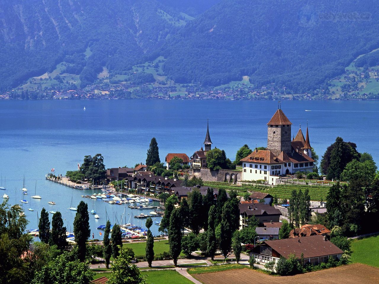 Foto: Lake Thun, Spiez, Switzerland