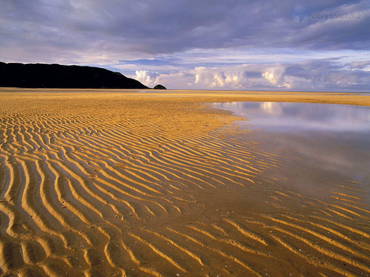 Foto: Low Tide, Abel Tasman National Park, South Island, New Zealand