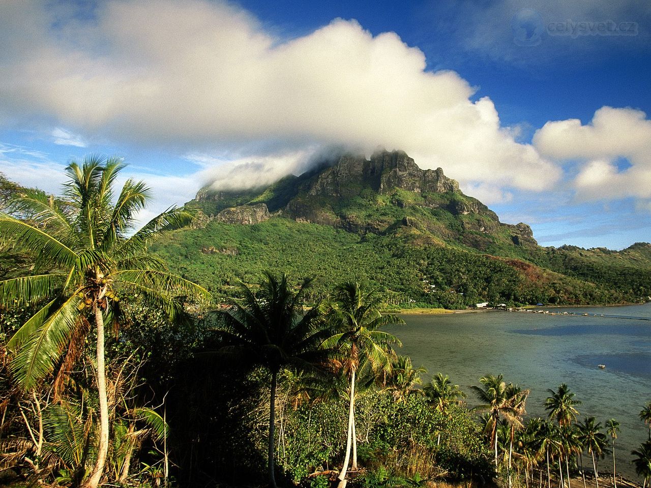 Foto: Morning Light On Mount Otemanu, Bora Bora, French Polynesia