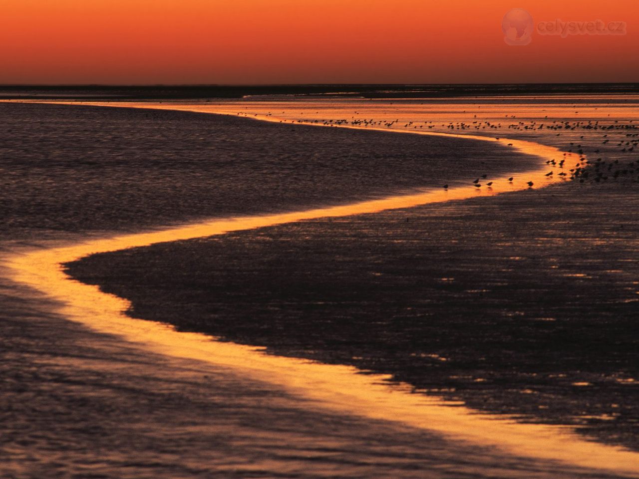 Foto: Wadden Island Estuary At Sunset, The Netherlands