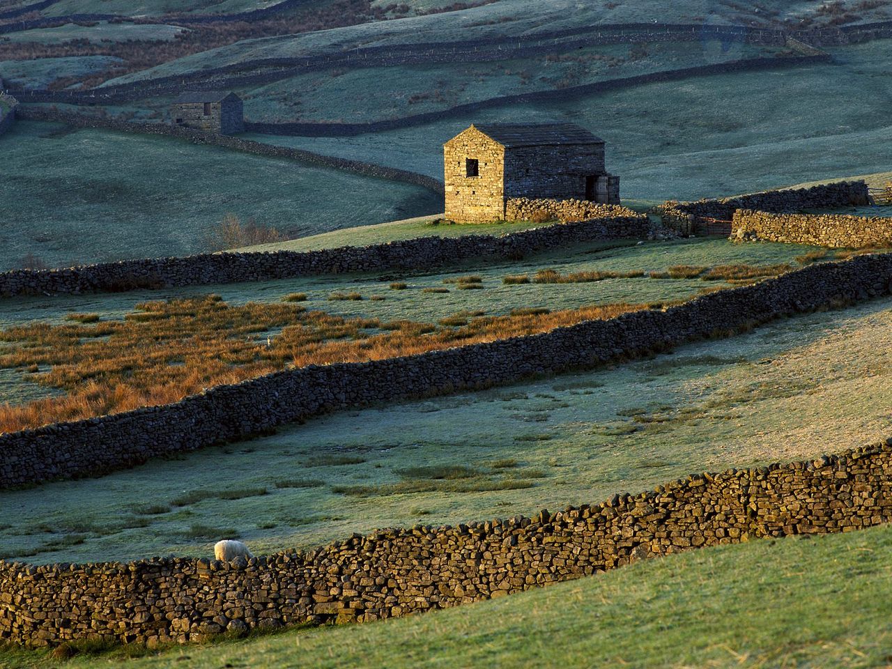 Foto: Muker Common, Yorkshire Dales, England