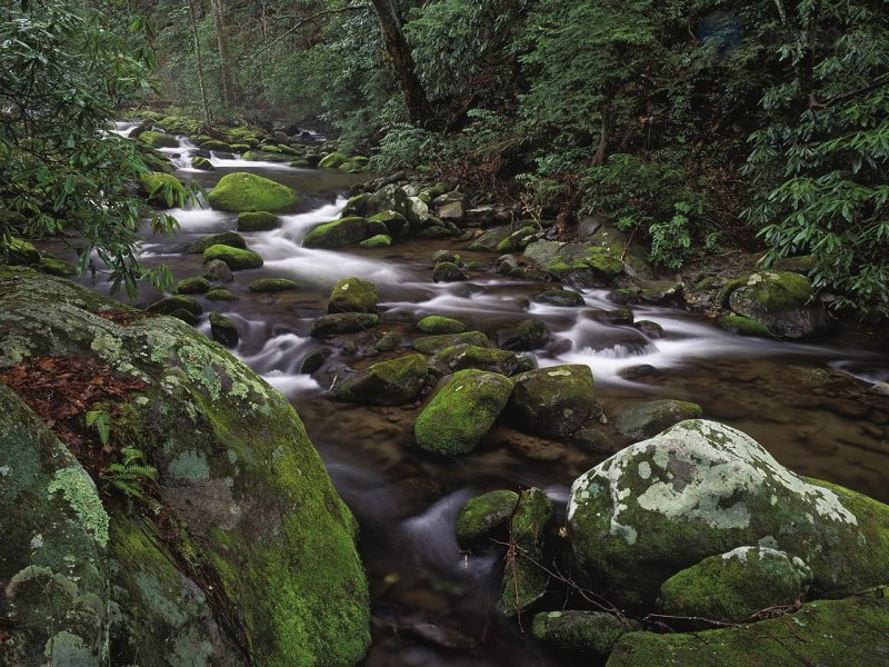 Foto: Mountain Stream, Great Smoky Mountains National Park, Tennessee