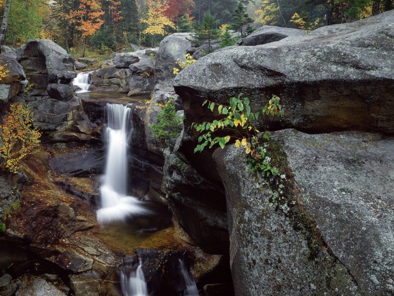 Foto: Screw Auger Falls, Bear River, Grafton Notch State Park, Maine