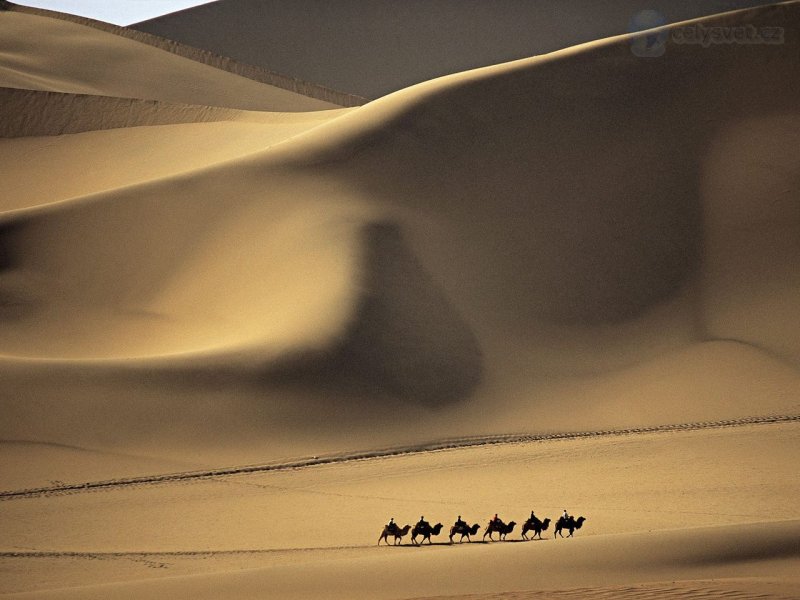 Foto: Camel Caravan Passes Through The, Sands That Sing,  Taklimakan Desert, China