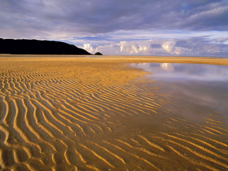 Foto: Low Tide, Abel Tasman National Park, South Island, New Zealand