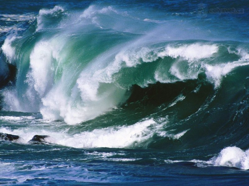 Foto: Breaking Wave, New Zealand