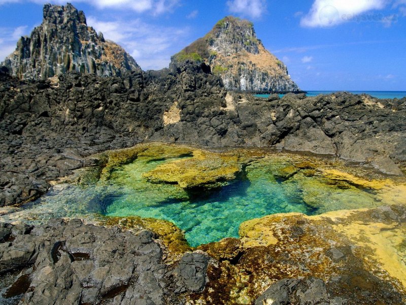 Foto: Tide Pool, Fernando De Noronha National Marine Sanctuary, Pernambuco, Brazil