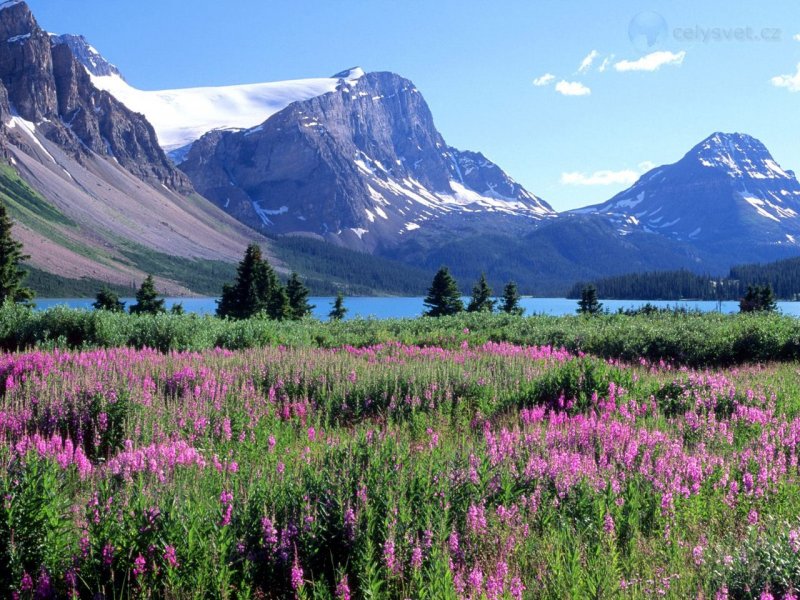 Foto: Bow Lake, Canadian Rockies, Alberta