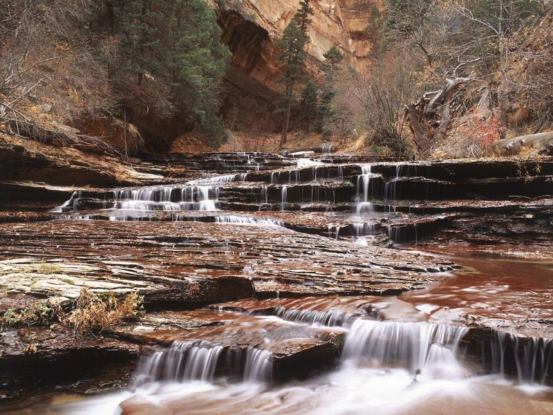 Foto: Left Fork Of North Creek, Zion National Park, Utah