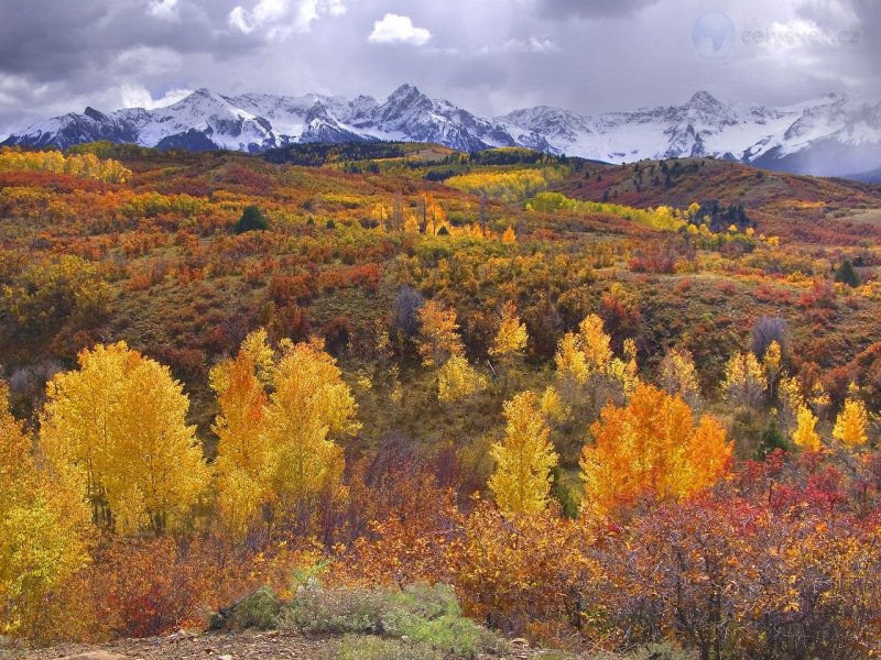 Foto: San Juan Color, Near Ridgway And Telluride, Colorado